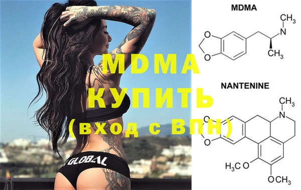 гидра Кодинск