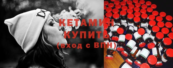 гидра Кодинск