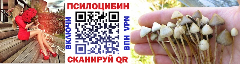 цены   Людиново  сайты даркнета клад  Галлюциногенные грибы Magic Shrooms 
